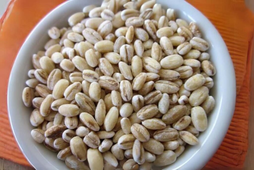 Barley